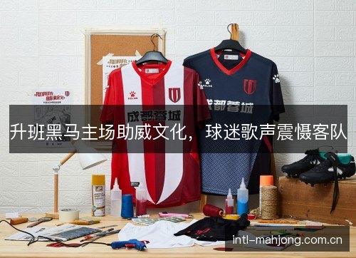 升班黑马主场助威文化，球迷歌声震慑客队
